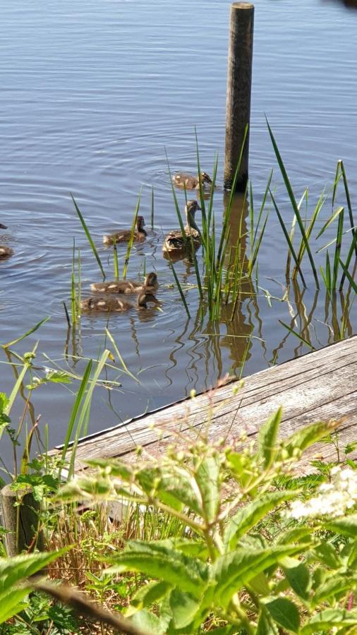 Buiten Huisje Aan De Vaart 1 Matsloot エクステリア 写真